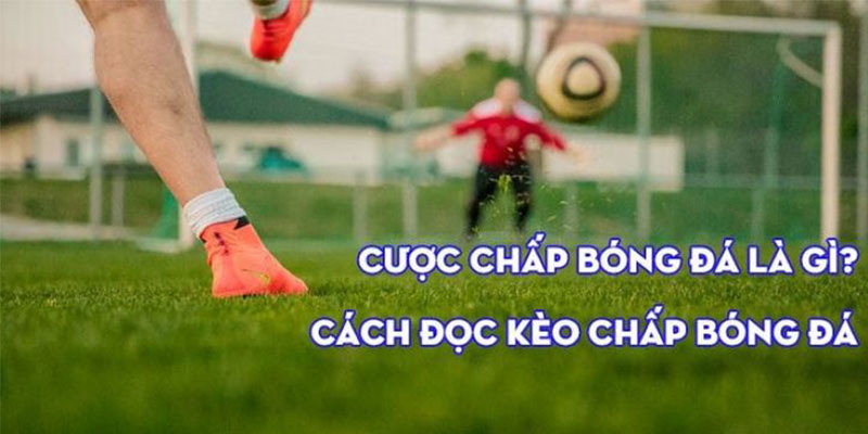 Tổng quan về tỷ lệ kèo chấp Tổng quan về tỷ lệ kèo chấp