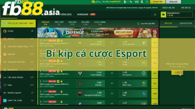 bi-kip-ca-cuoc-esport-tai-sanh-the-thao-fb88